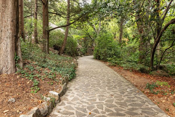 Stone Walkway Repair in Bethesda