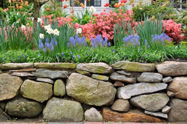 Stone Wall Hardscaping in Bethesda