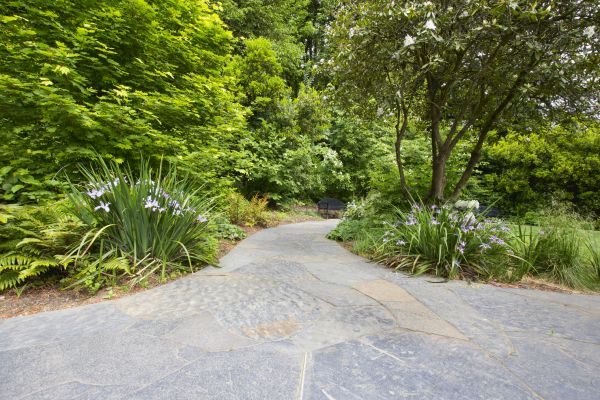 Stone Hardscape Service in Bethesda