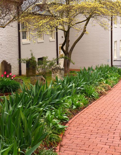 Brick Flatwork Repair in Bethesda
